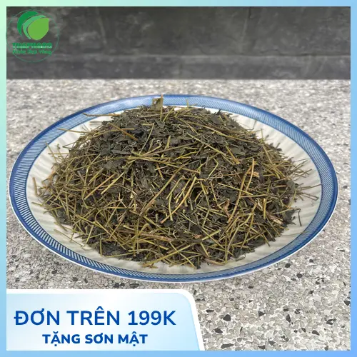 Quy trình sấy khô Giảo Cổ Lam tại THAPHACO