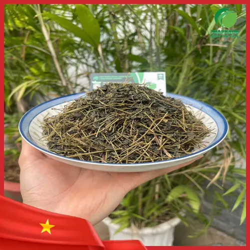 Hình ảnh lá giảo cổ lam phơi khô
