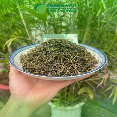 Lợi ích của Giảo Cổ Lam khô THAPHACO
