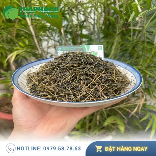 Quy cách đóng gói Giảo Cổ Lam Khô THAPHACO