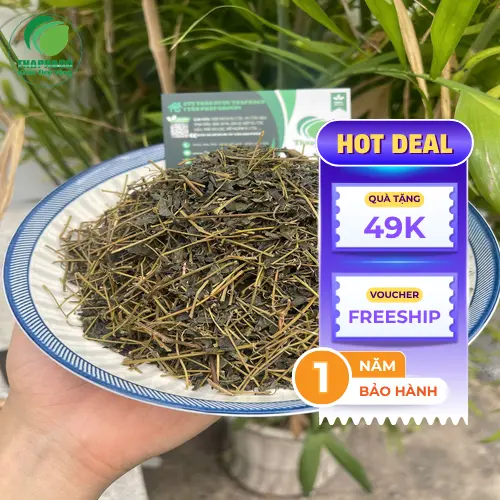 Hình ảnh trà giảo cổ lam