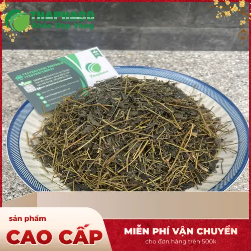 Lưu ý quan trọng khi sử dụng giảo cổ lam
