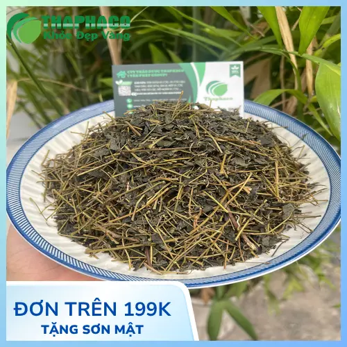 Lý do chọn mua Giảo Cổ Lam Khô tại THAPHACO