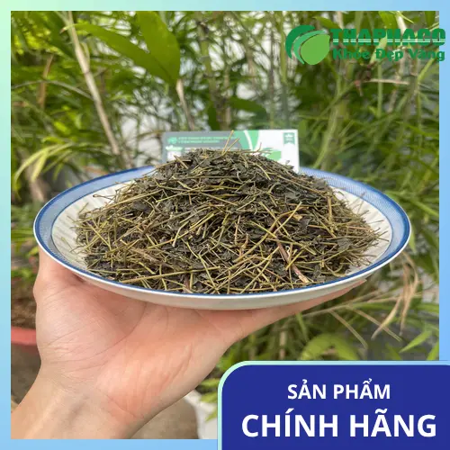 Giải đáp thắc mắc về giảo cổ lam