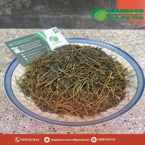 Sản phẩm Giảo Cổ Lam chất lượng từ THAPHACO