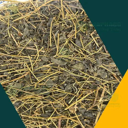 Chọn mua Giảo Cổ Lam chất lượng tại THAPHACO