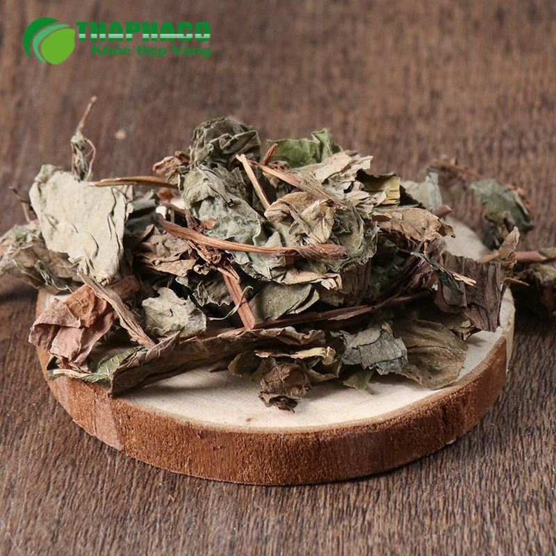 Dược liệu Thaphaco Đồng Hành Cùng Sức Khỏe Đường Ruột