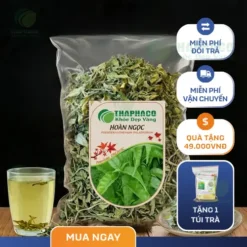 Địa Chỉ Bán Lá Hoàn Ngọc Khô (Cây Xuân Hoa) Uy Tín Tại TP.HCM