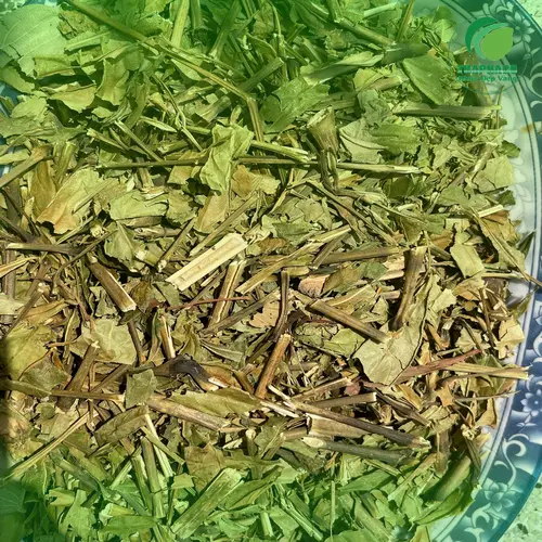 Pha trà lá Hoàn Ngọc nóng
