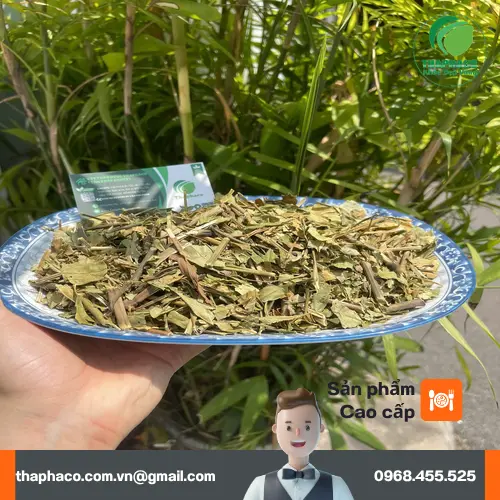 Cách pha trà Hoàn Ngọc đơn giản tại nhà