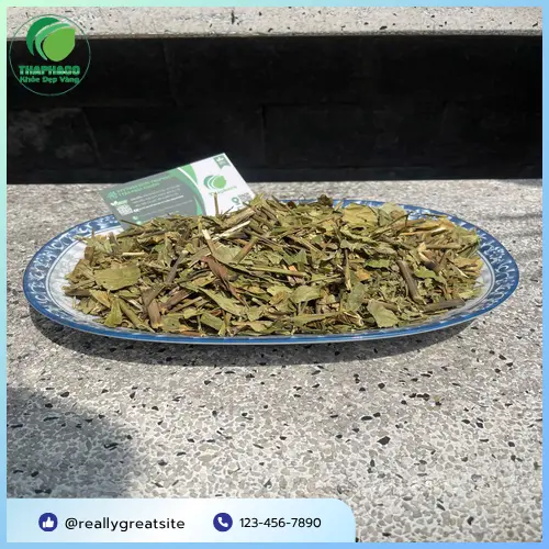 Lá Hoàn Ngọc khô được bảo quản đúng cách