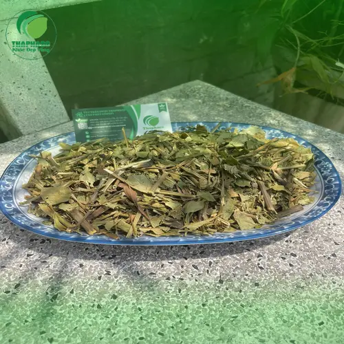 Liên hệ THAPHACO để mua Lá Hoàn Ngọc khô