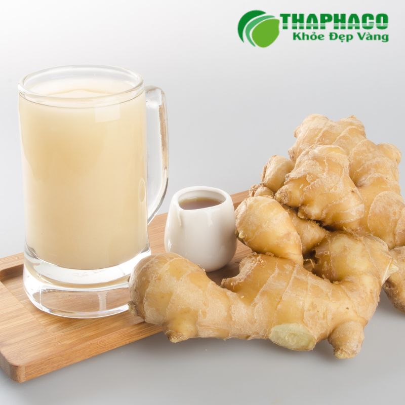 Hướng Dẫn Sử Dụng Dược Liệu Thaphaco Hỗ Trợ Hội Chứng Ruột Kích Thích