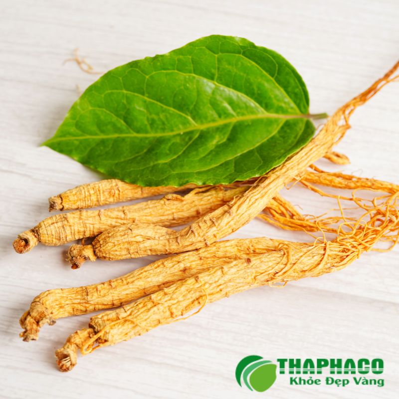 Thaphaco là lựa chọn uy tín nhờ cam kết dược liệu sạch, nguyên chất 100%