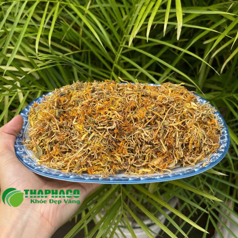Dược liệu tự nhiên có thể hỗ trợ sức khỏe tĩnh mạch và tuần hoàn máu