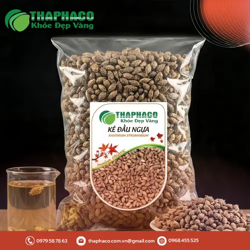 Phụ nữ mang thai có dùng ké đầu ngựa được không