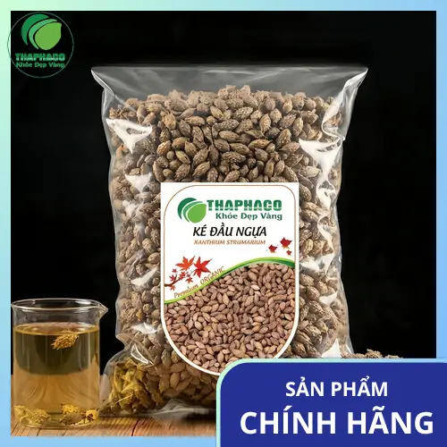 Ké Đầu Ngựa tươi với lá và thân cây