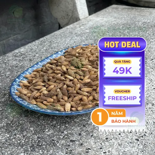 Hình ảnh quả ké đầu ngựa khô có gai móc