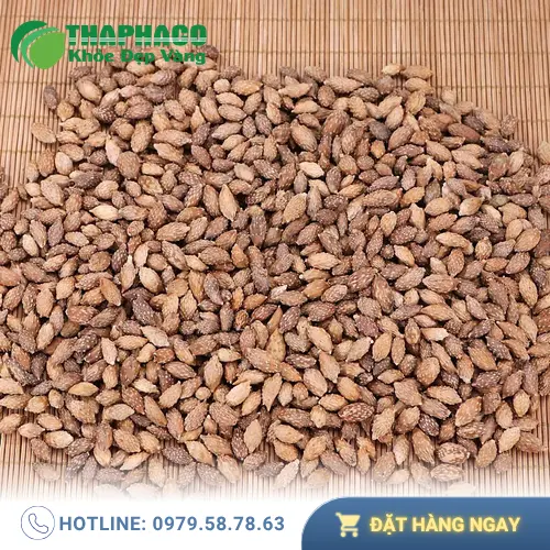 Hình ảnh quả Ké Đầu Ngựa khô có gai móc