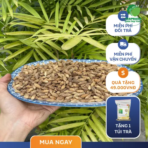 Hình ảnh Ké Đầu Ngựa được sơ chế và dùng trong bài thuốc