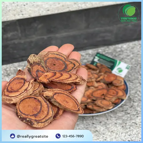 Công dụng hỗ trợ của Kê Huyết Đằng