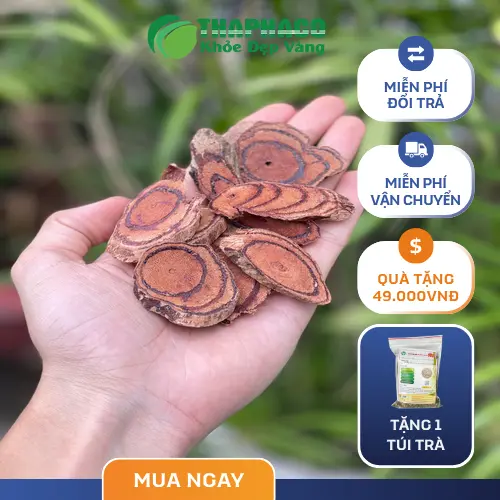 Kê Huyết Đằng hỗ trợ sức khỏe xương khớp