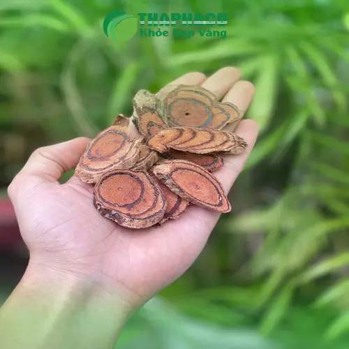 Cách dùng Kê Huyết Đằng sấy khô