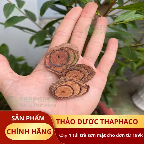 Kê Huyết Đằng sấy khô tại kho dược liệu THAPHACO