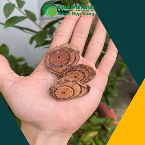 Hình ảnh Kê Huyết Đằng đã thái lát và phơi khô