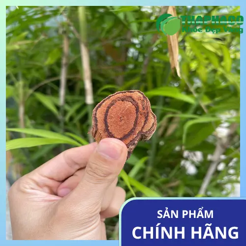 Liều dùng tham khảo của Kê Huyết Đằng