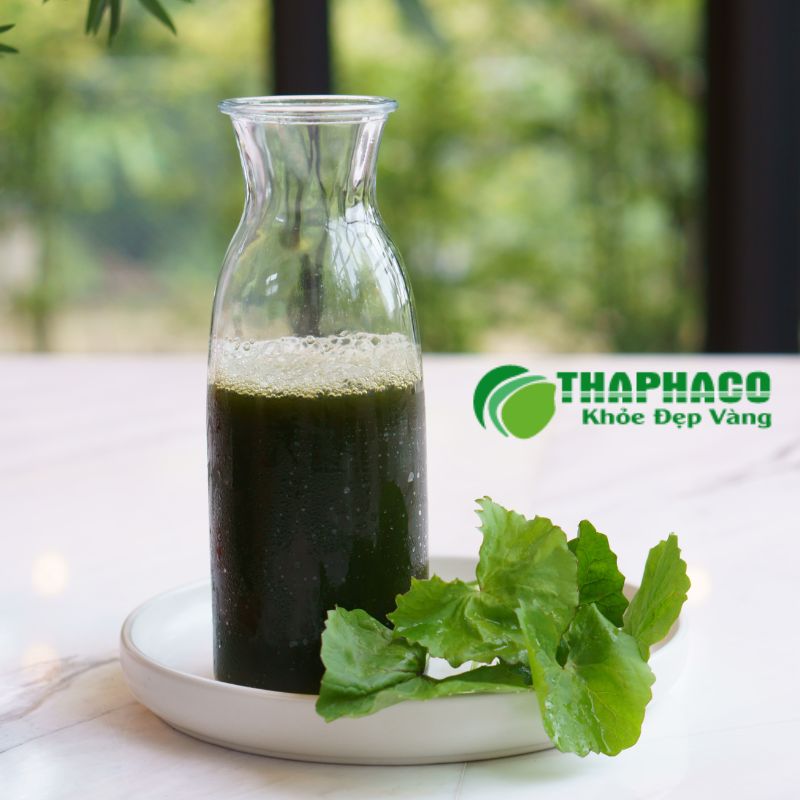 Rau má có tính mát, giúp thanh nhiệt, giải độc, và hỗ trợ làm lành niêm mạc ruột