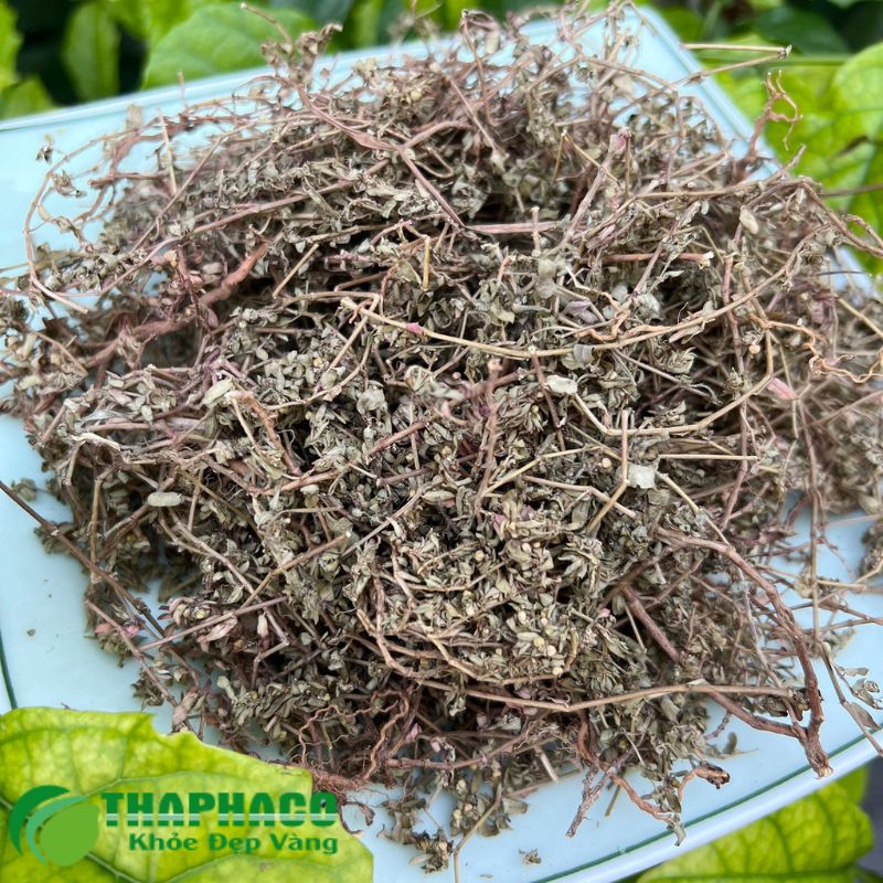 Thaphaco tự hào là đơn vị tiên phong trong cung cấp dược liệu sạch, nguyên chất