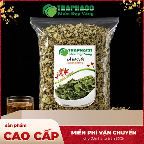 Lá bạc hà tươi và khô