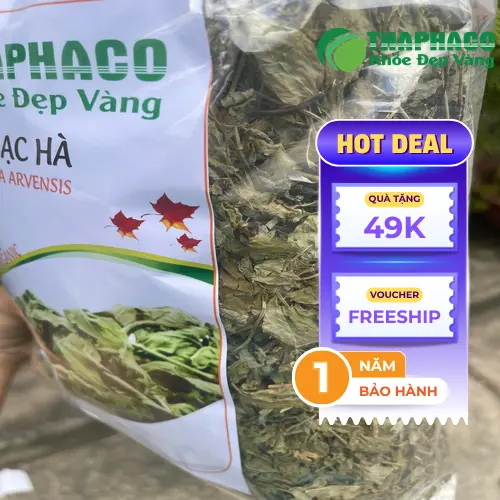 Cây bạc hà xanh tươi
