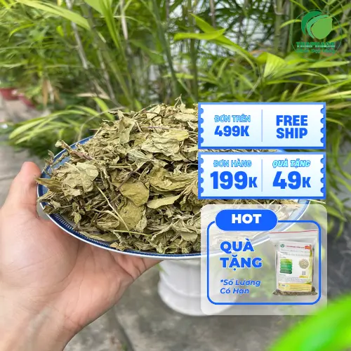 Lá bạc hà chất lượng để pha trà