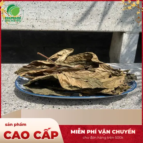 Kiểm tra Lá Khôi Tía khô định kỳ để tránh ẩm mốc