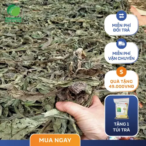 Bảng giá Lá Khôi Tía Khô tại THAPHACO