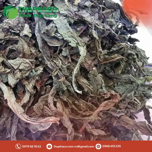 Cách sử dụng Lá Khôi Tía Khô để hỗ trợ sức khỏe
