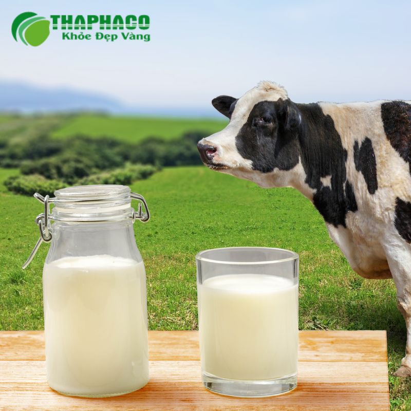 Ăn uống thực phẩm bị nhiễm vi khuẩn là một trong những con đường lây nhiễm chính của lao ruột