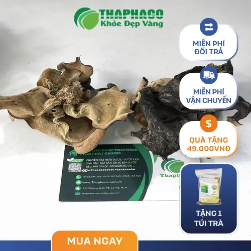 Mộc nhĩ khô chất lượng tại THAPHACO