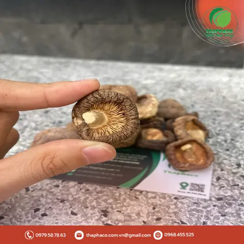 Luôn tham khảo ý kiến chuyên gia y tế trước khi sử dụng nấm đông cô khô