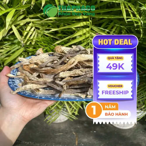 Sơ chế nấm lộc nhung tươi đúng cách