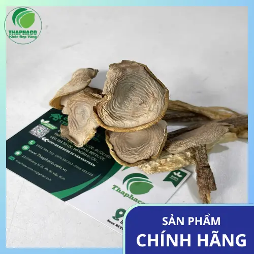 Lưu ý khi sử dụng nấm lộc nhung cho người ăn chay