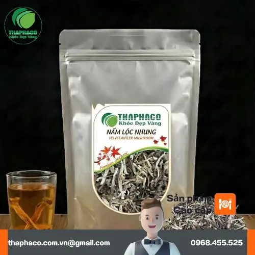 So sánh chi tiết sự khác biệt giữa nấm lộc nhung tươi và khô