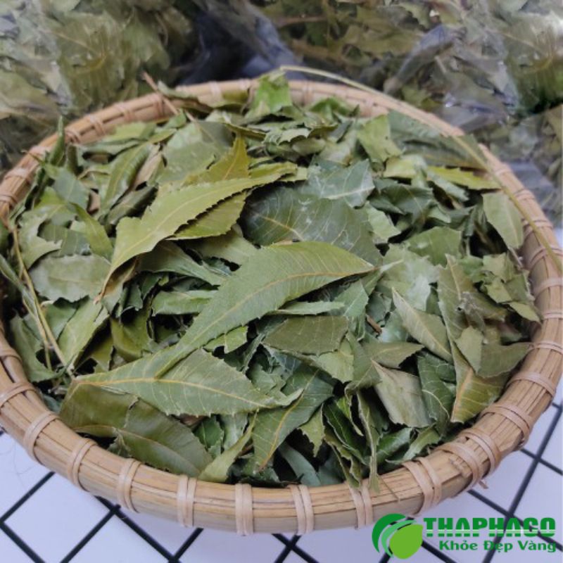 Lá Vông nem có tác dụng an thần, giúp thư giãn cơ bắp và dễ dàng chìm vào giấc ngủ