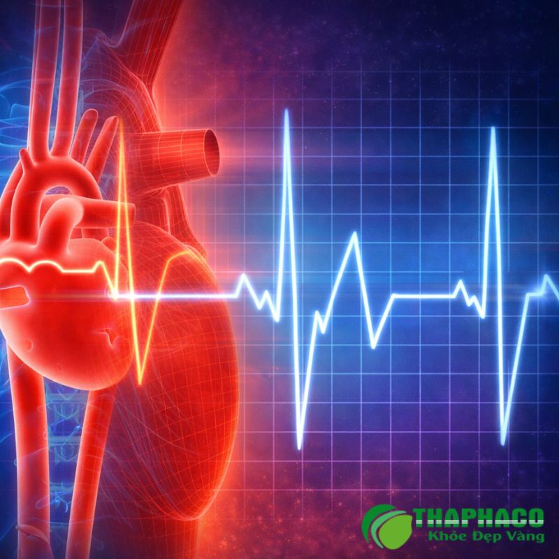 Nhịp tim nhanh là khi tim đập trên 100 nhịp/phút lúc nghỉ ngơi