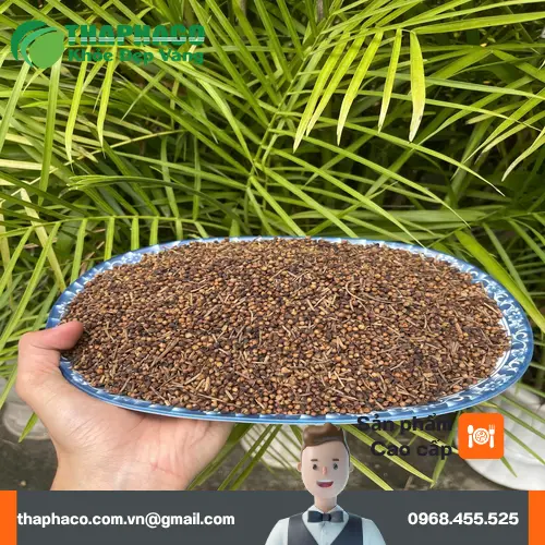 Trà Nụ Vối thơm ngon, tốt cho sức khỏe