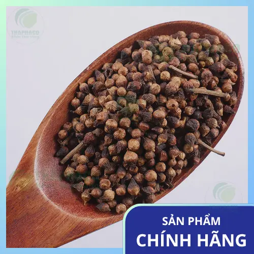 Hướng dẫn cách pha Nụ Vối đúng chuẩn