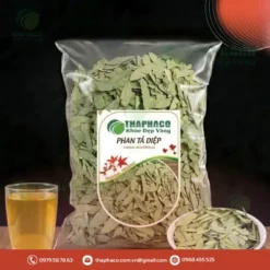 Phan Tả Diệp Sấy Khô Loại 1 (1kg/500g) - Giá Sỉ Cho Đại Lý