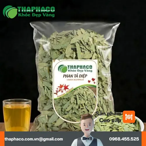 Phan Tả Diệp khô